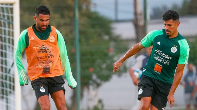 نريد الفوز.. نجوم منتخب الجزائر يشعلون حماسة الجماهير