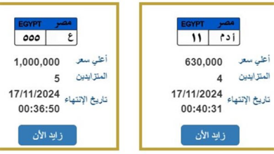 بمليون جنيه .. اغلى لوحة مرورية فما سعر الأرخص ؟