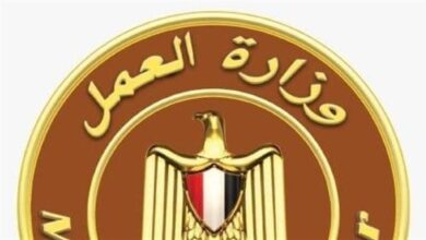 تفاصيل مبادرات وزارة العمل لتدريب العاملين وتأهيلهم